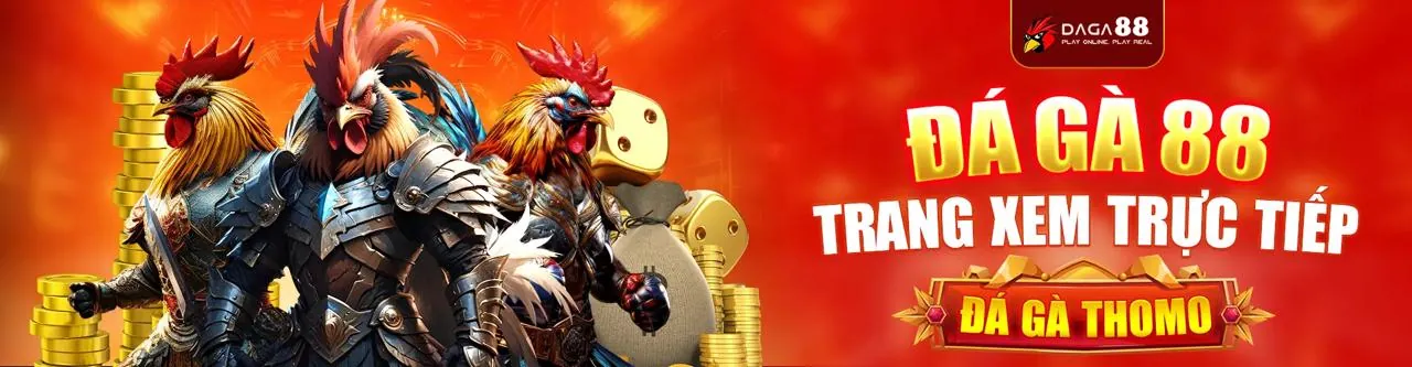 Hình ảnh blog chính của sun20 về cá cược và casino